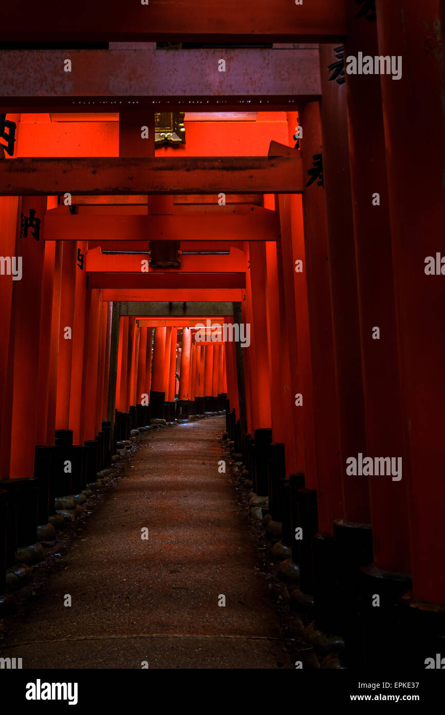 Tori portes du temple japonais à Kyoto Banque D'Images
