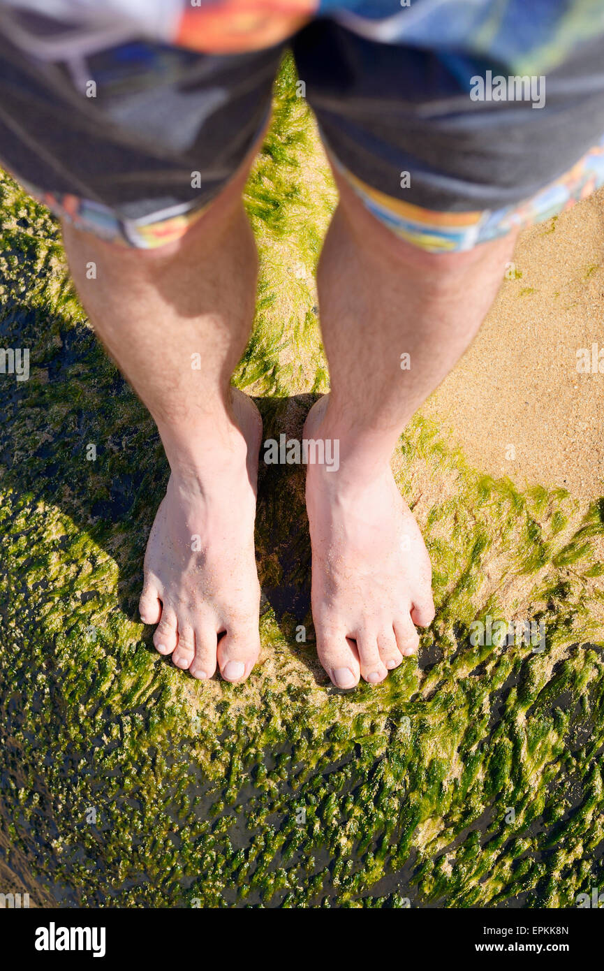 USA, Hawaii, pieds, Hanalei sur moos-cultivé à pierre beach Banque D'Images