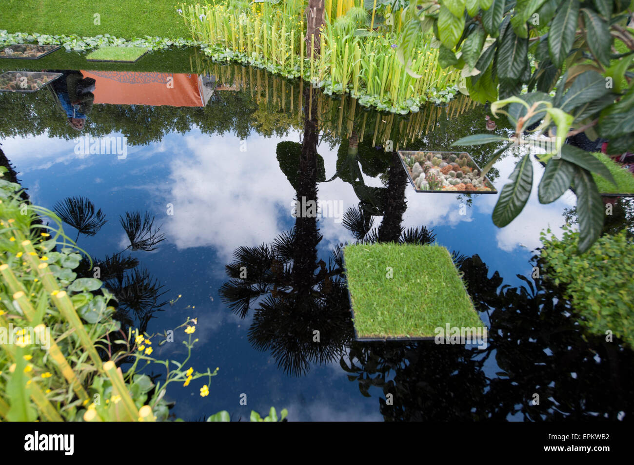 2015 RHS Chelsea Flower Show Jour d'ouverture, Royal Hospital Chelsea, London, UK. 19 mai, 2015. La vision du monde jardin, une médaille en argent doré jardin zone douce conçu par John Warland inspiré par le Cambodge. Credit : Malcolm Park editorial/Alamy Live News Banque D'Images