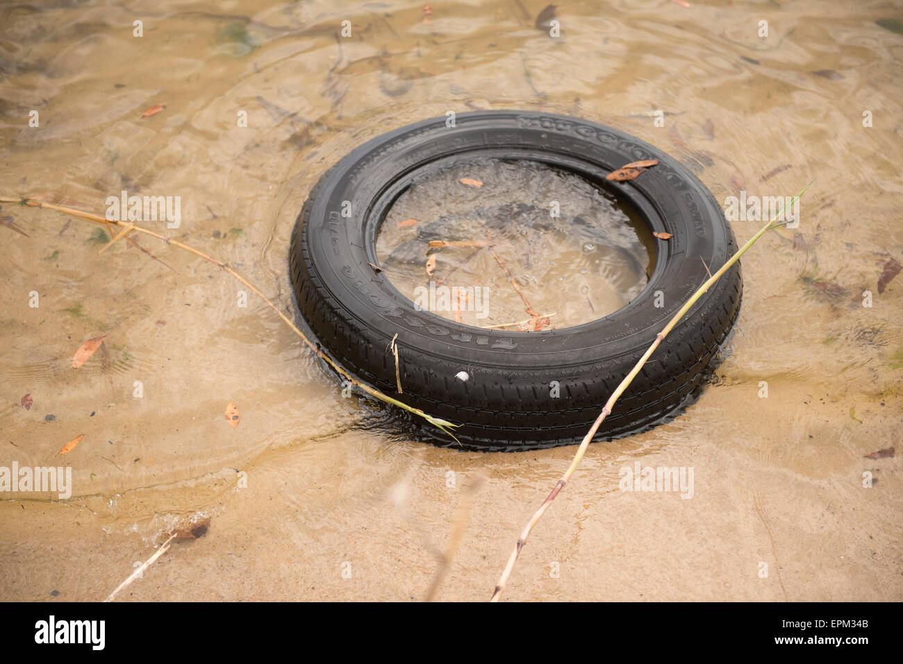 Tire de polluer l'eau le long du littoral Banque D'Images