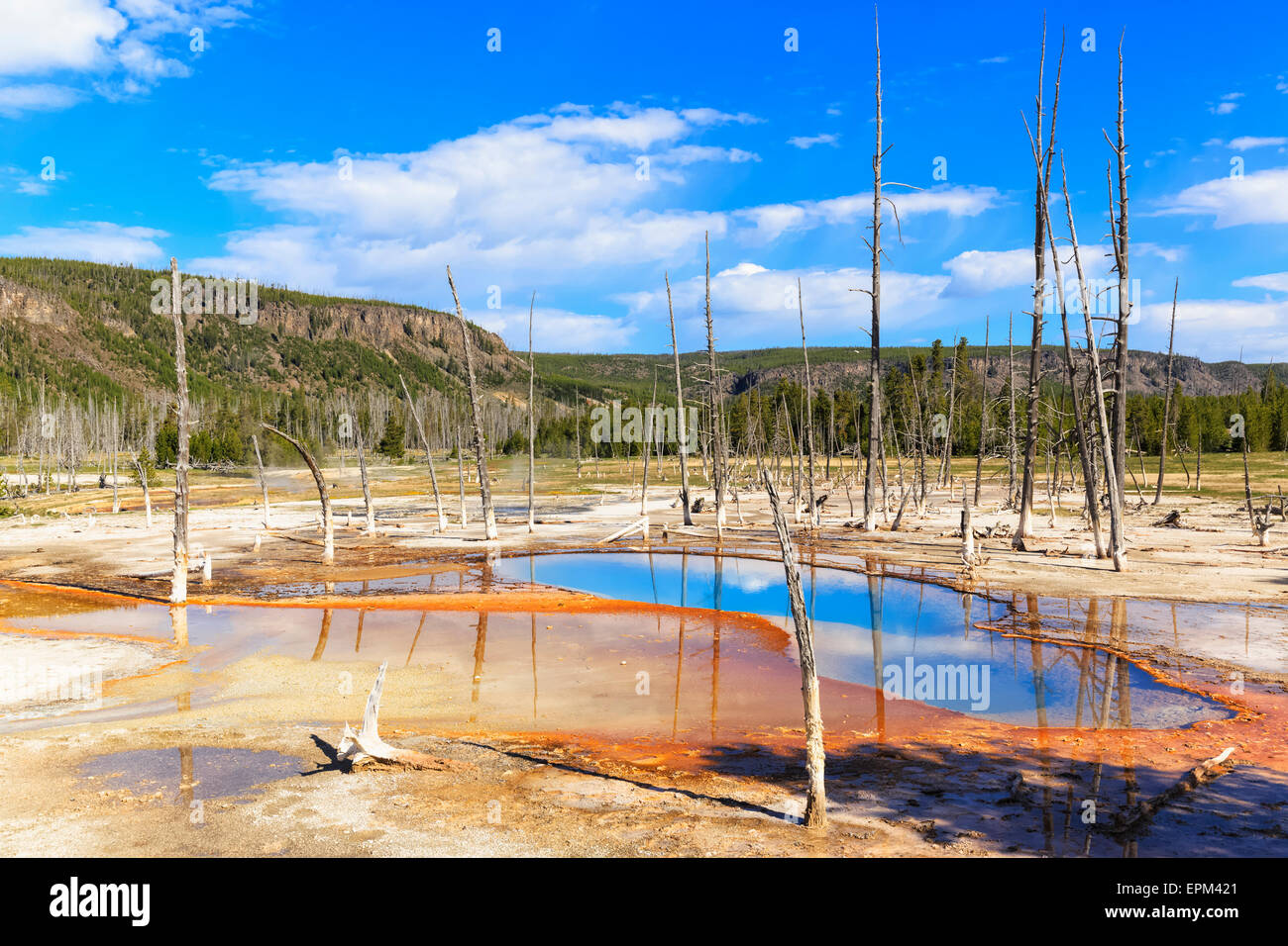 Etats-unis, Parc National de Yellowstone, bassin de sable noir, piscine opalescent Banque D'Images