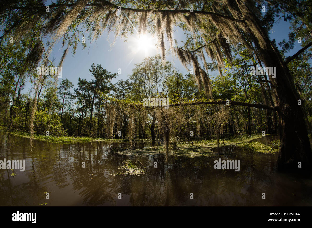 Lever du soleil de la Louisiane Banque D'Images