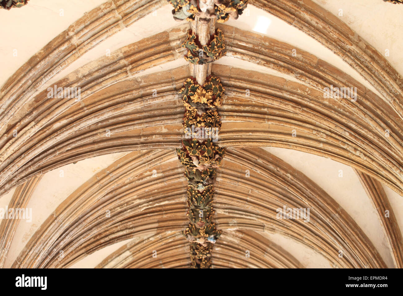Misericord, face décorative sur un haut plafond, Cathédrale de Norwich, Norfolk, UK Banque D'Images