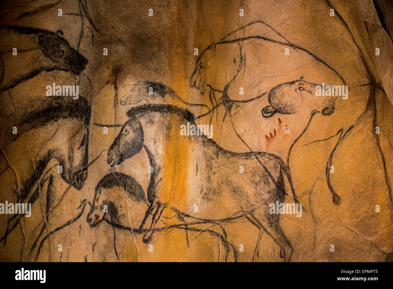 Réplique de peintures rupestres préhistoriques de la grotte Chauvet, Ardèche, France, montrant des chevaux sauvages disparues et lions grotte Banque D'Images
