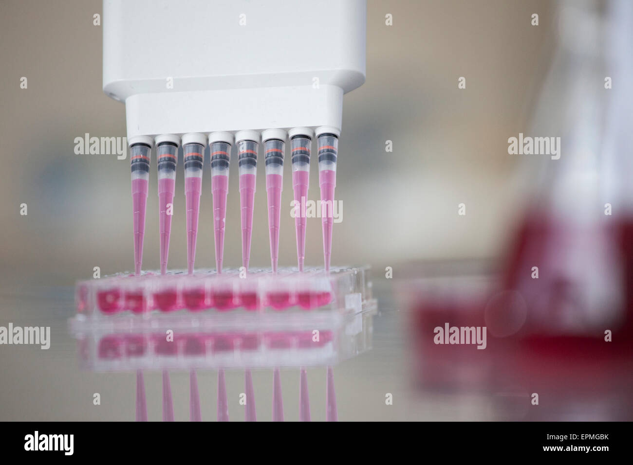 Test tubes in laboratory Banque D'Images