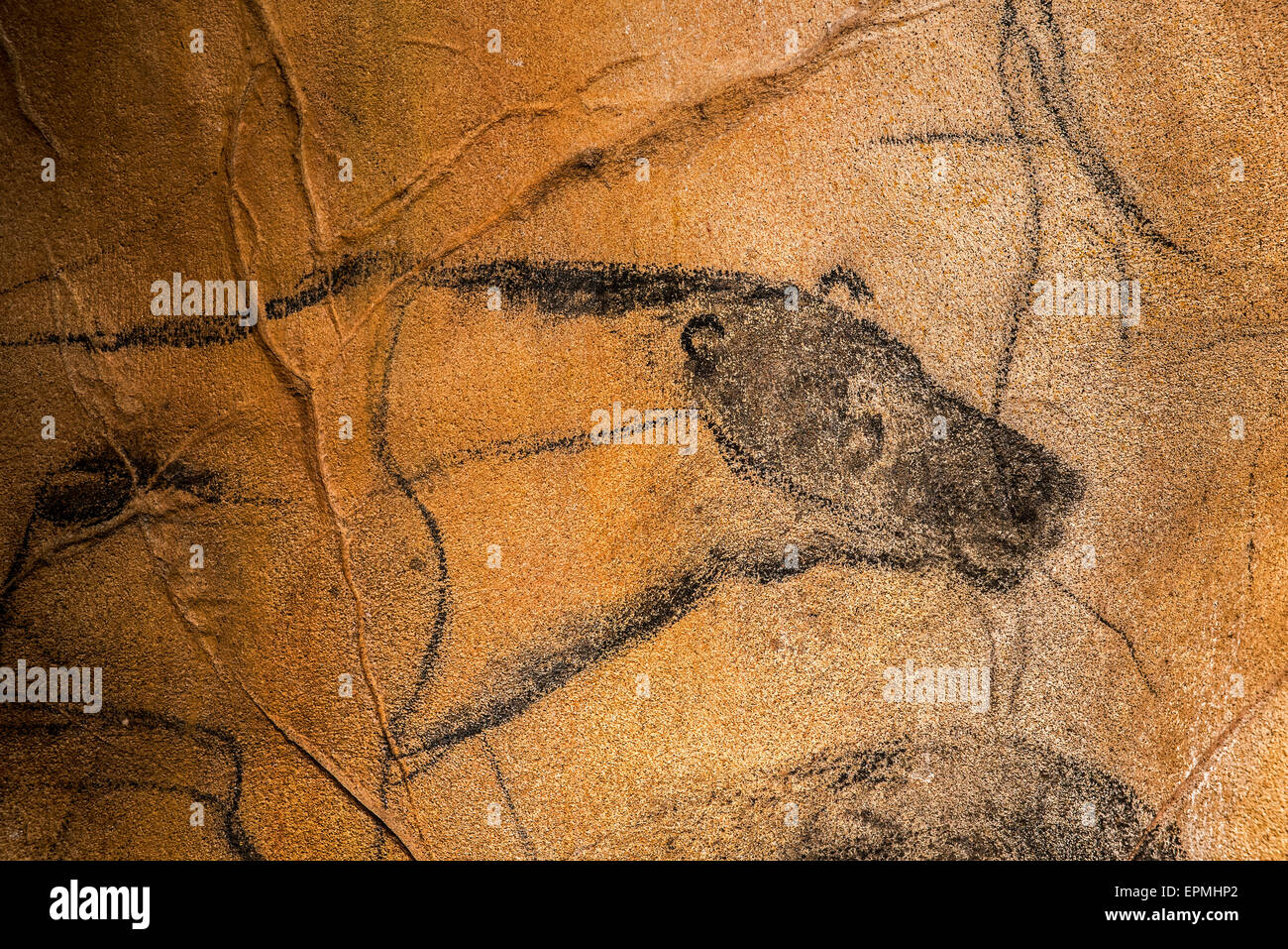 Réplique de peintures rupestres préhistoriques de la grotte Chauvet, Grotte Chauvet-Pont-d'Arc, Ardèche, France, montrant disparue lion des cavernes Banque D'Images