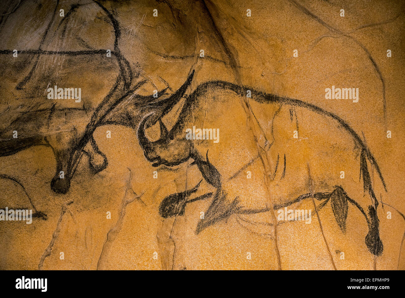 Réplique de la peinture rupestre préhistorique de la grotte Chauvet, Grotte Chauvet-Pont-d'Arc, Ardèche, France, montrant disparue rhinocéros laineux Banque D'Images