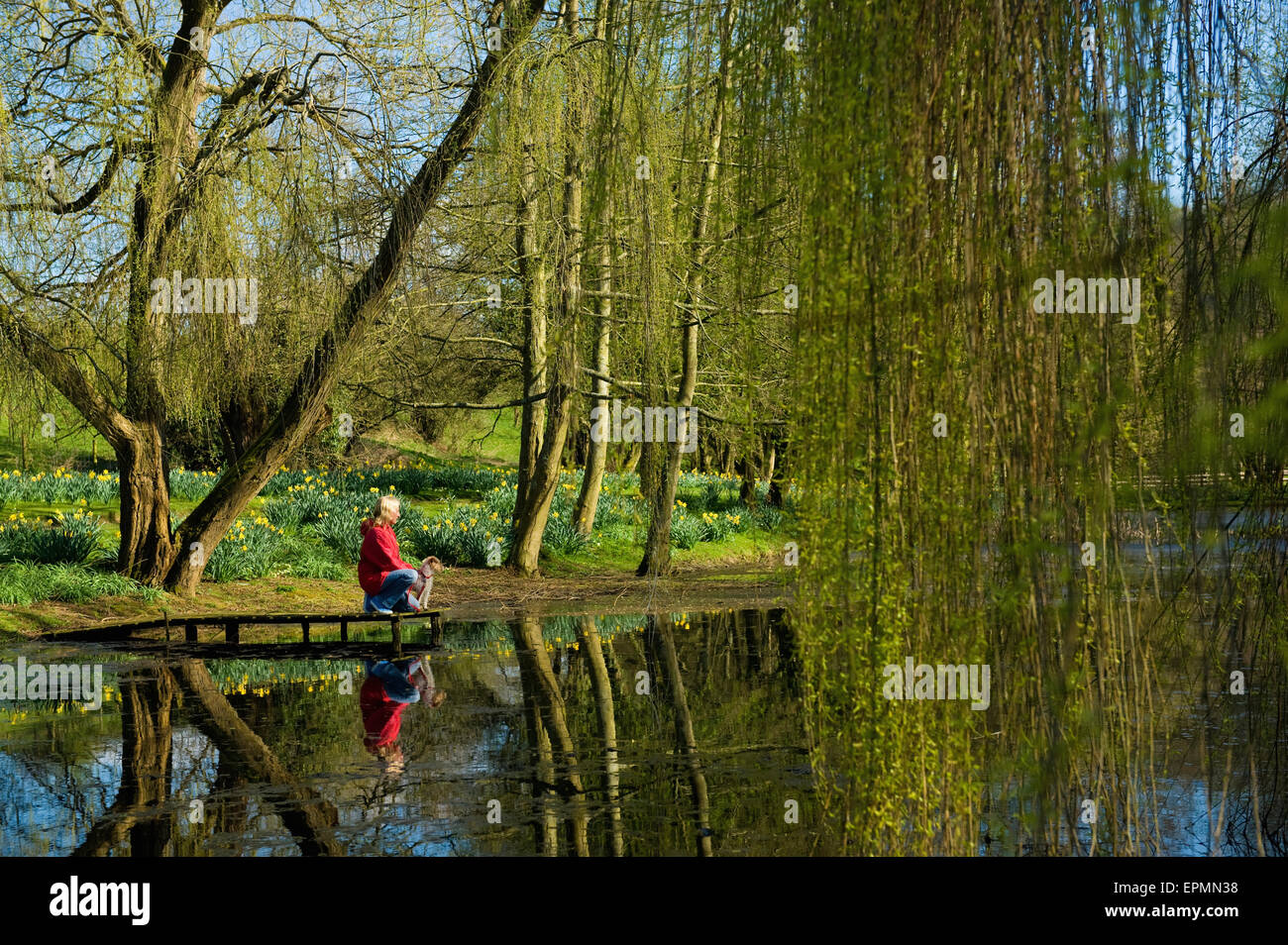 Une femme et un petit chien debout sur une jetée par un lac. Banque D'Images