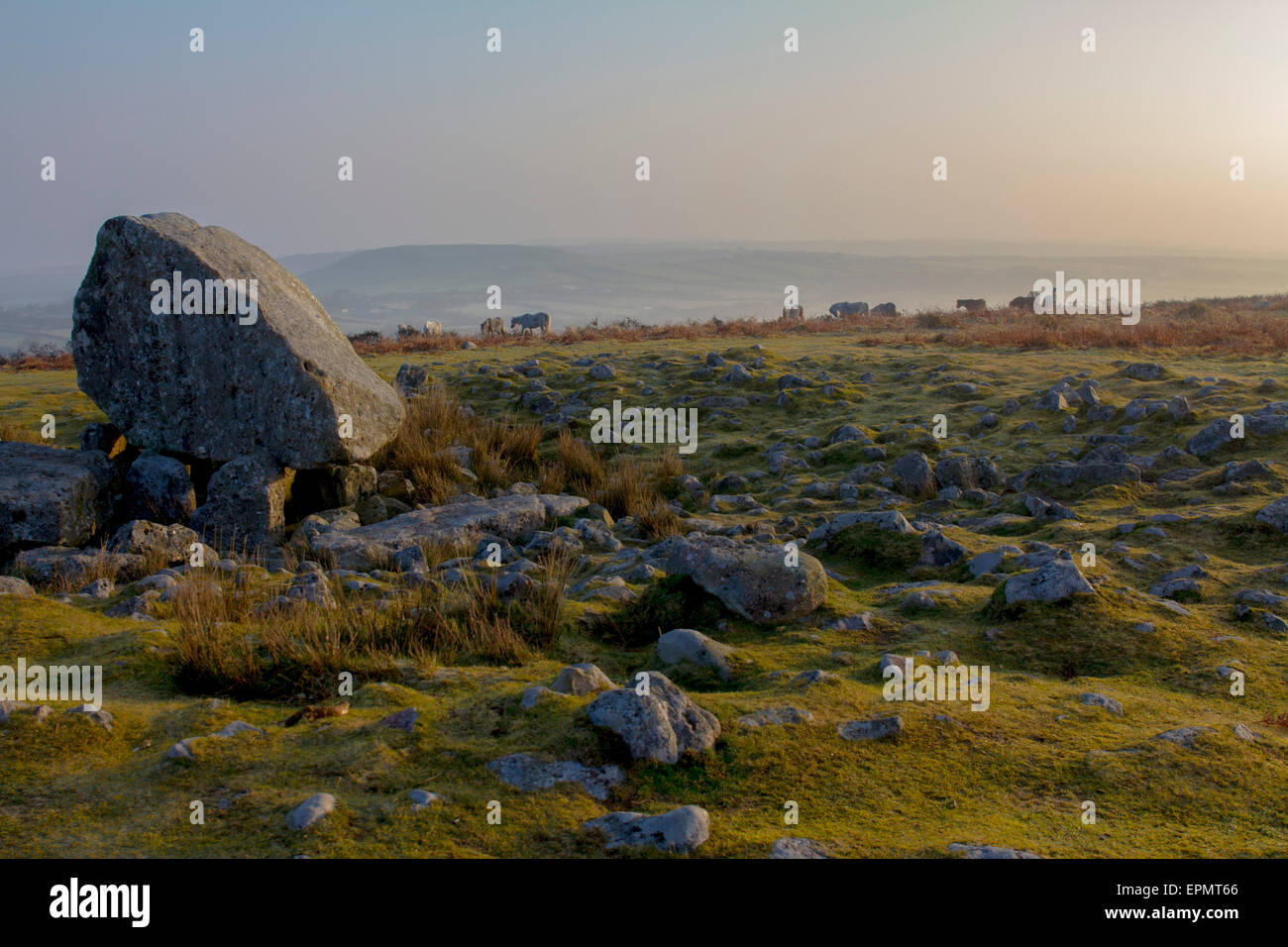 Arthur's Stone Maen (CETI), une chambre funéraire néolithique, la péninsule de Gower, Swansea, Glamorgan, Pays de Galles, Royaume-Uni Banque D'Images