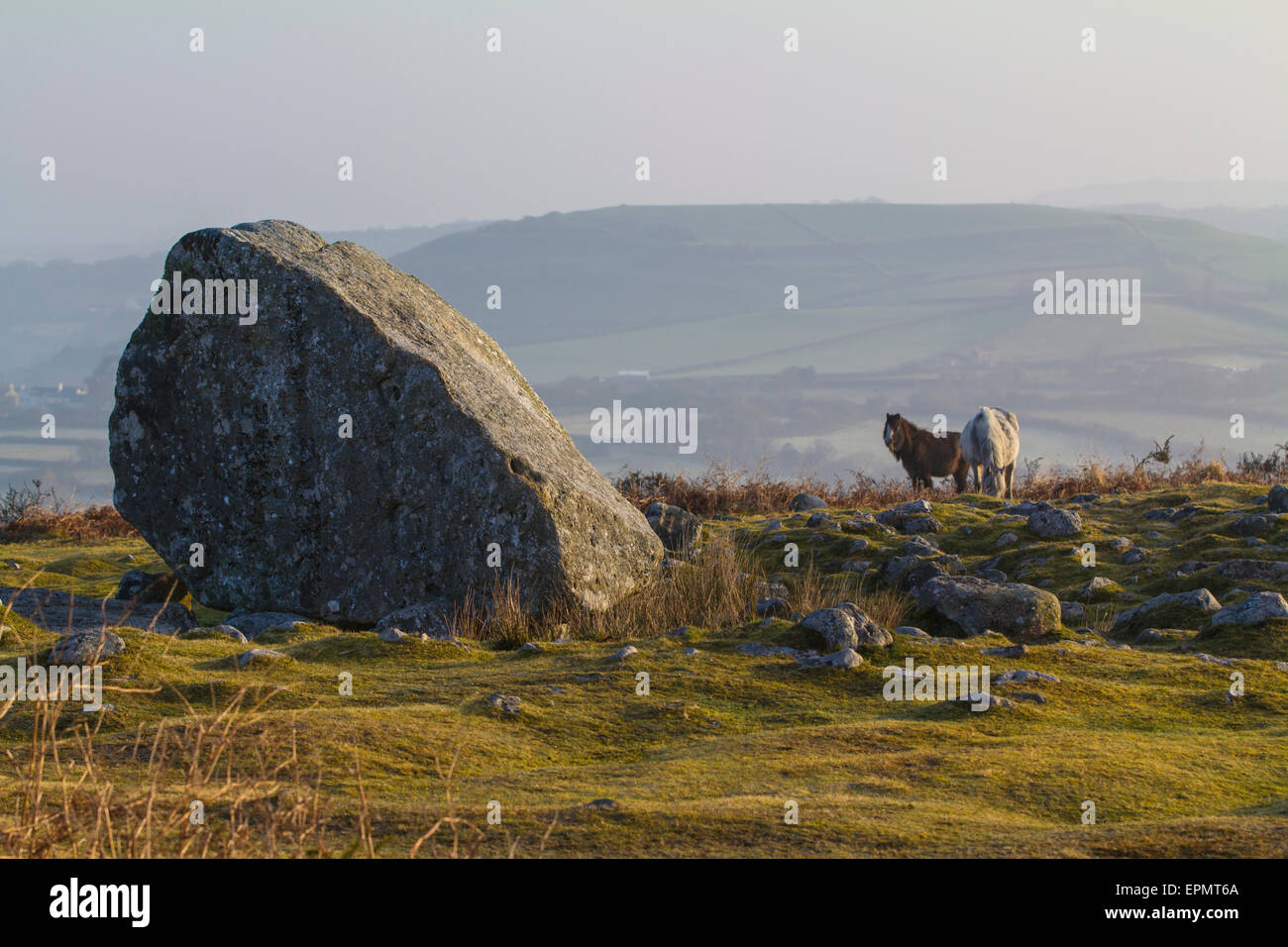 Arthur's Stone Maen (CETI), une chambre funéraire néolithique, la péninsule de Gower, Swansea, Glamorgan, Pays de Galles, Royaume-Uni Banque D'Images