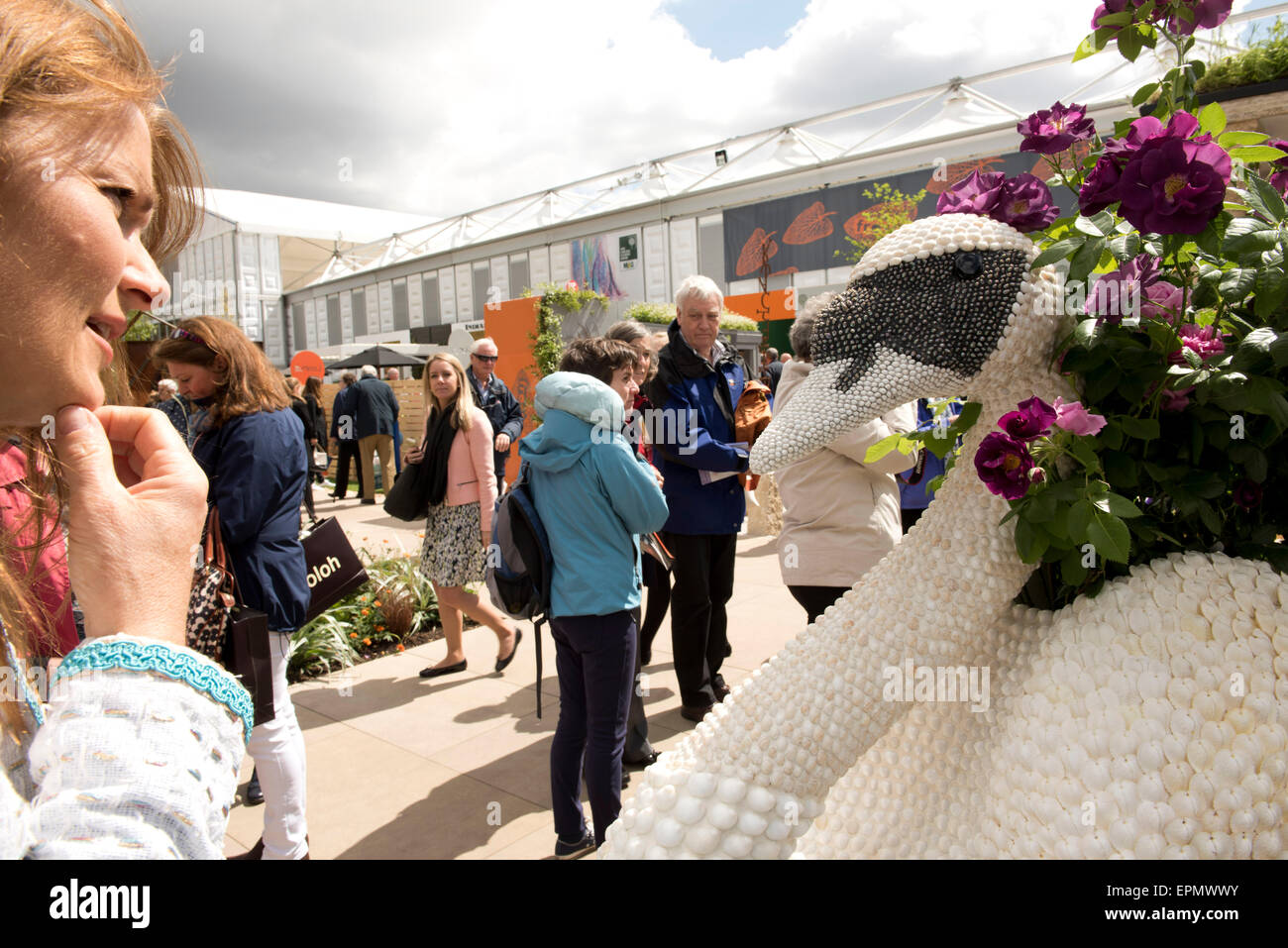 Londres, Royaume-Uni, le 19 mai 2015, les visiteurs de l'exposition florale de Chelsea le jour d'ouverture à la rose à un semoir rempli de coquillages dans la forme d'un cygne conçu par Fiona Jackson pour Pollyfields. Banque D'Images