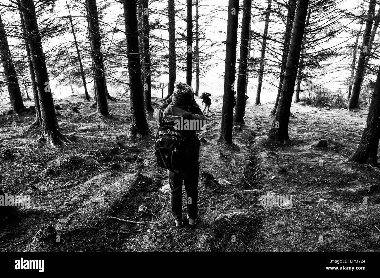 Trois Rock Mountain, Dublin, Irlande Banque D'Images