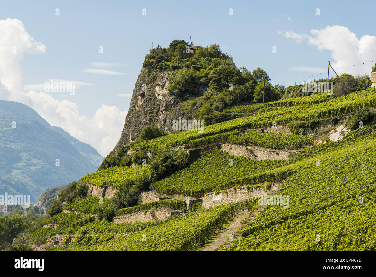 Des vignes à Uvrier, Valais, Suisse, Uvrier Banque D'Images