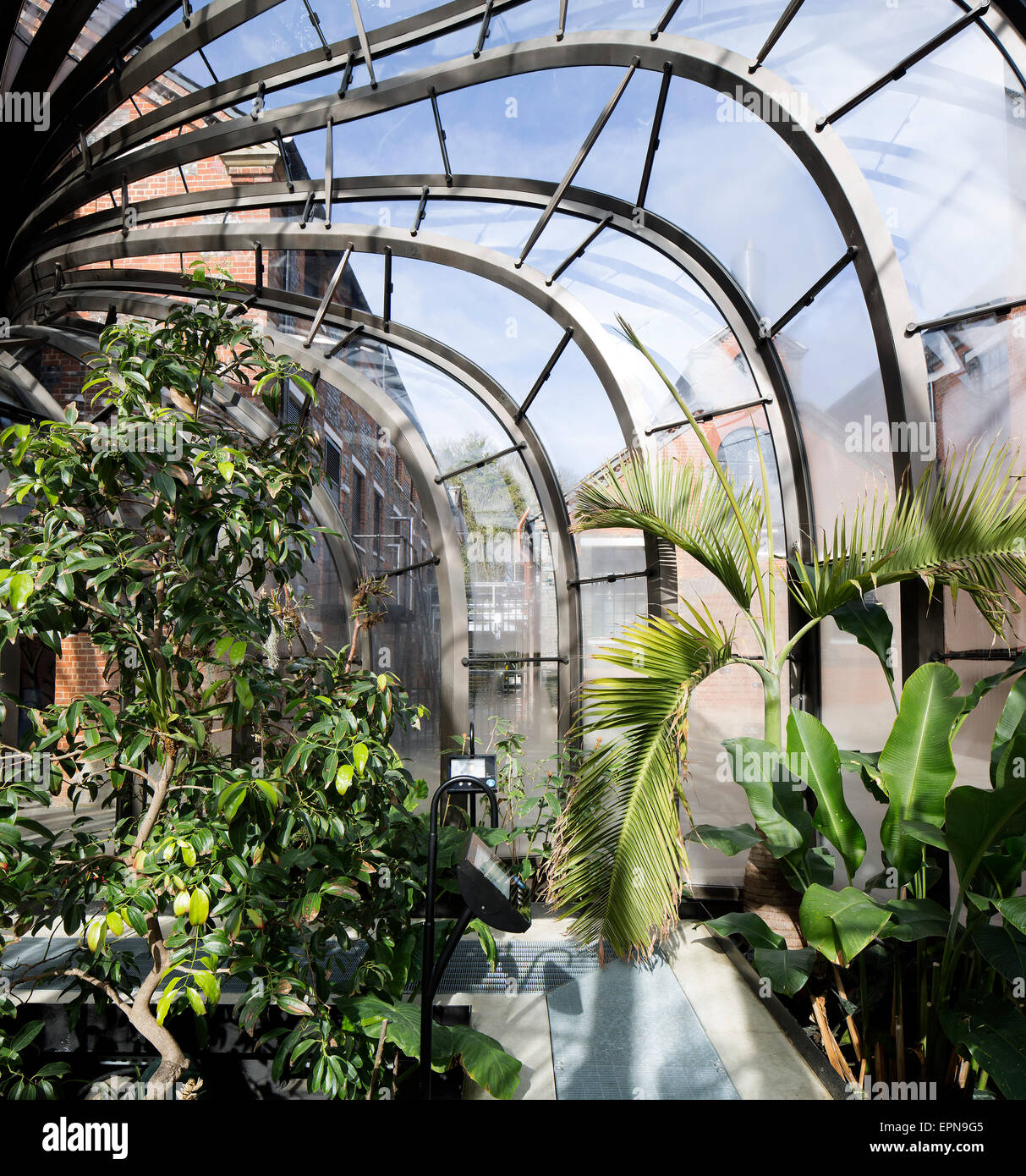 Vue intérieure d'une maison de verre. La Distillerie de Bombay Sapphire, Laverstoke, Royaume-Uni. Architecte : Heatherwick Studio, 2014. Banque D'Images