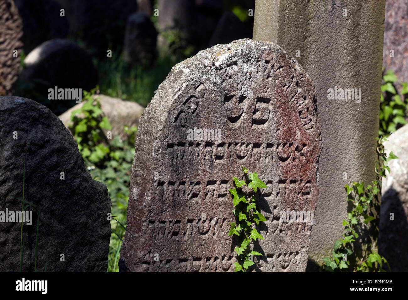 Vieux cimetière juif de Trebic, en Moravie, République tchèque. Patrimoine de l'UNESCO. Banque D'Images