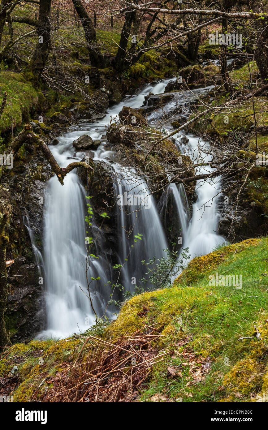 Hause Gill dans peu d'Gatesgarthdale Banque D'Images