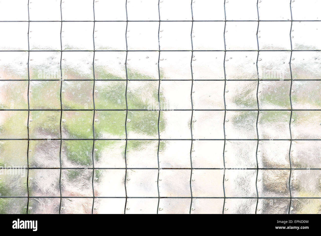 Résumé fond fait de verre translucide avec caillebotis. Banque D'Images