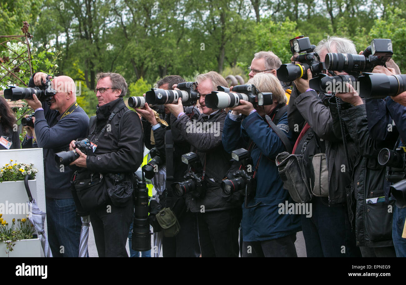 Photographes de presse au RHS Chelsea Flower Show 2015 Banque D'Images