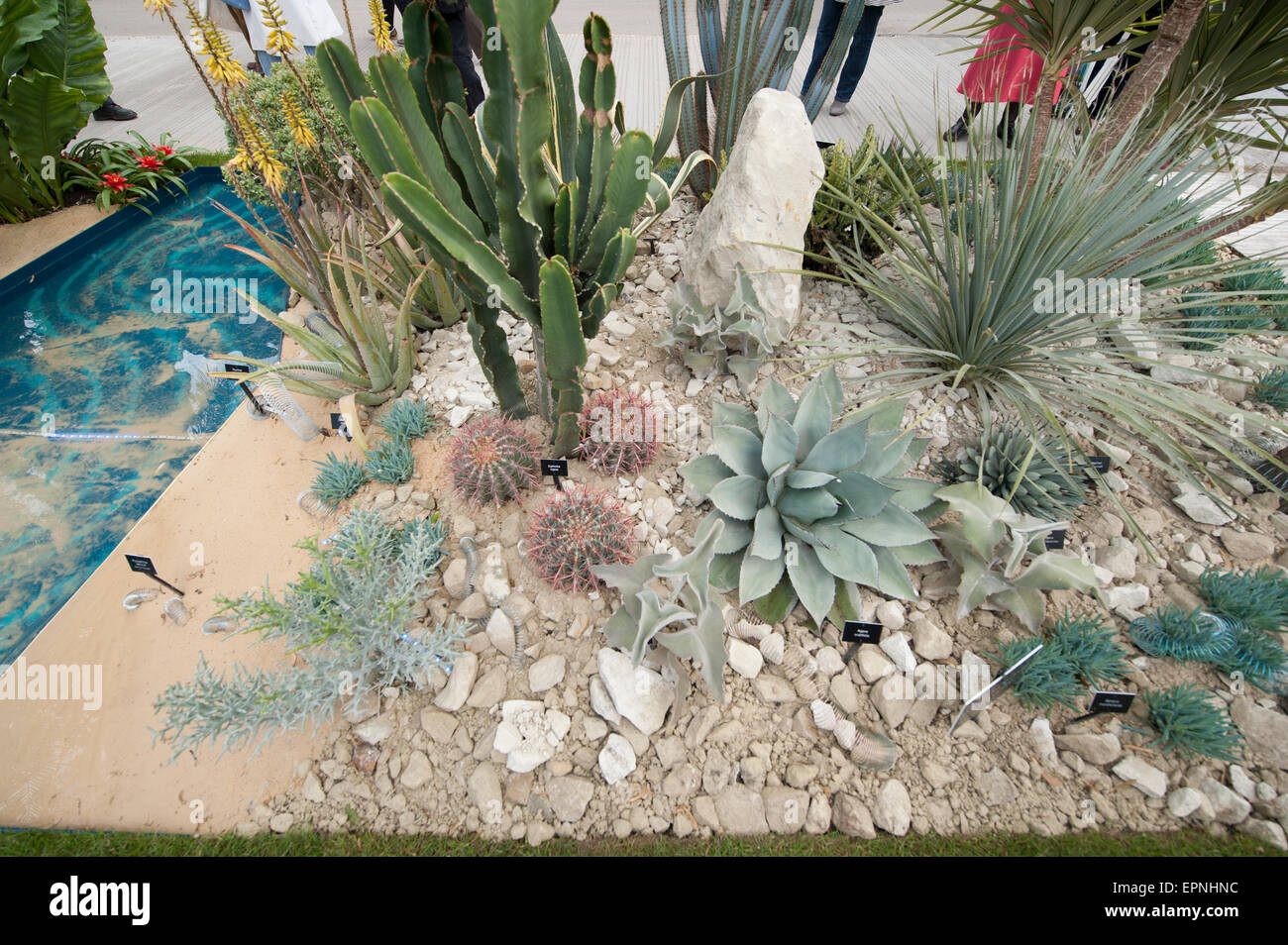 2015 RHS Chelsea Flower Show, au-delà de nos frontières frais jardin, conçu par Sarah Eberle Banque D'Images