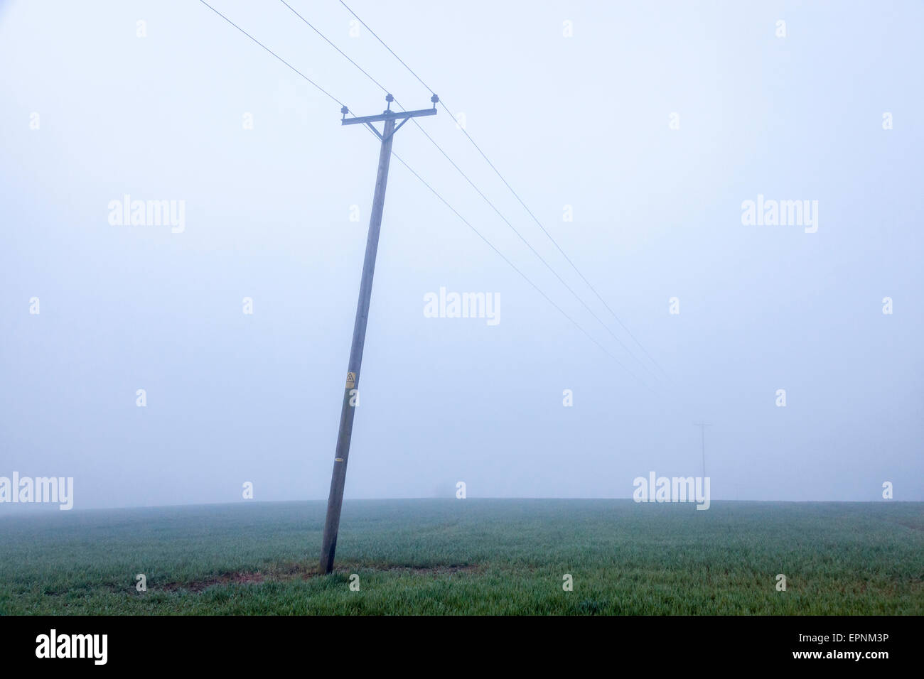 Lignes électriques sur un poteau en se penchant au-dessus d'un champ sur un matin brumeux, Lancashire, England, UK Banque D'Images