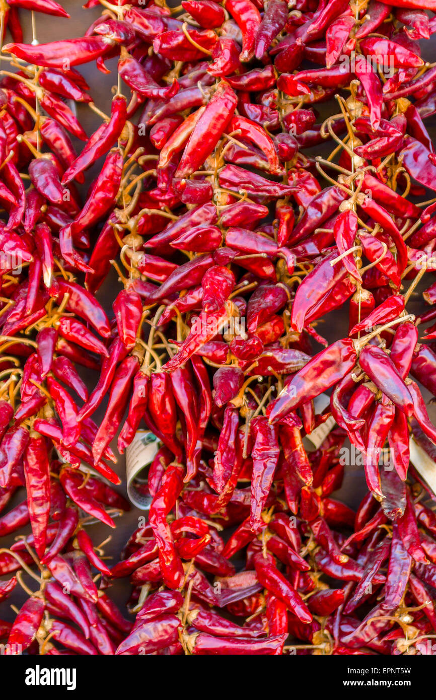 Paprika poivre rouge string en Hongrie Banque D'Images