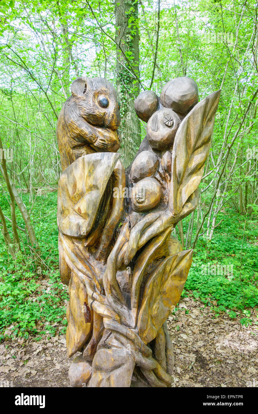 Dormeuse forme sculpté un vieil arbre Queenswood Country Park Herefordshire UK Banque D'Images