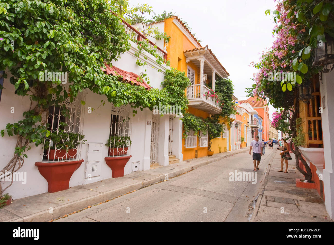 Maisons couvertes de fleurs et d'un balcon dans une rue à Cartagena, Colombie, Amérique du Sud Banque D'Images
