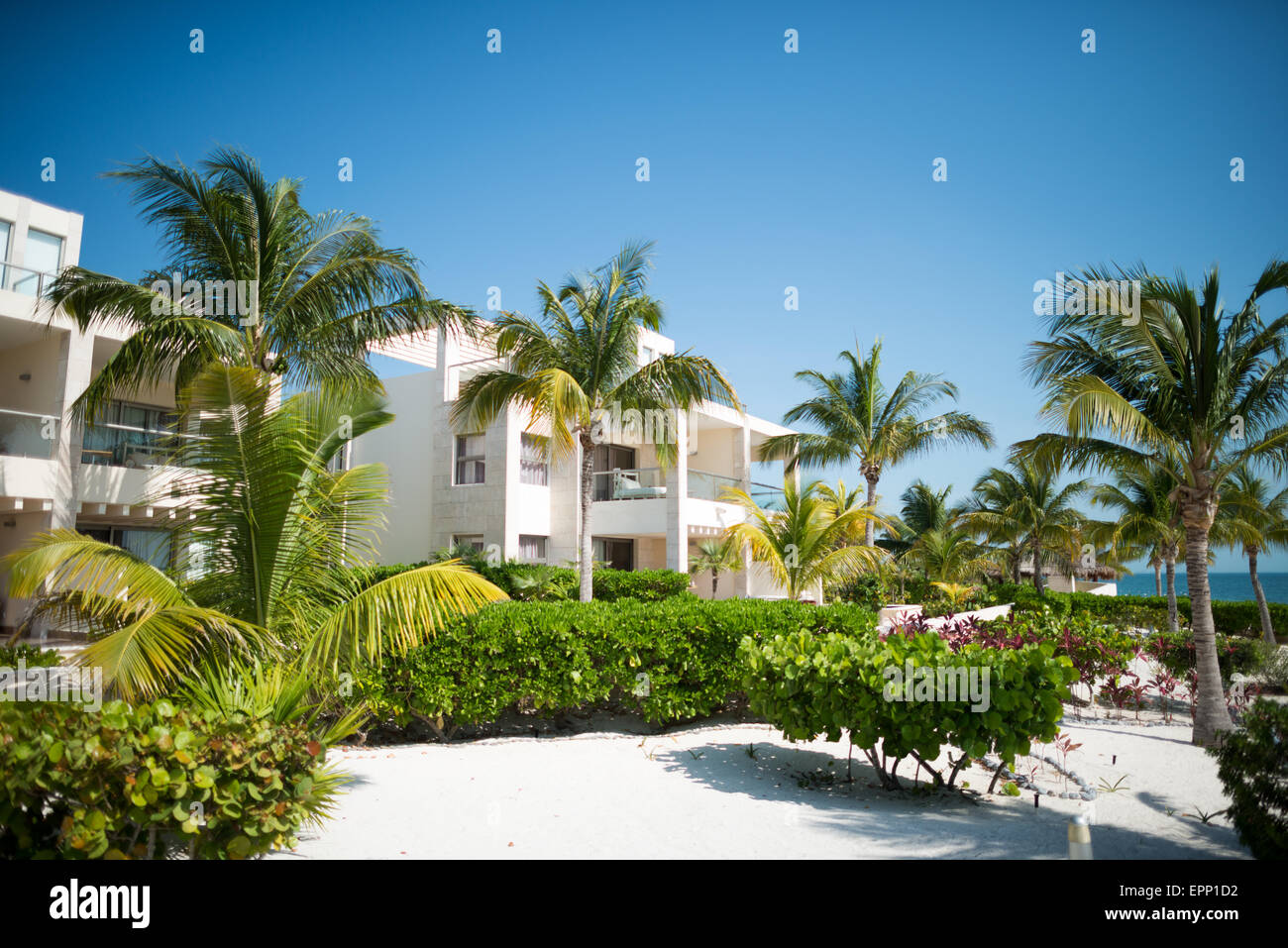 Le bien-aimé, de l'hôtel Playa Mujeres, Mexique, est situé juste au nord de Cancun. C'est un complexe de luxe, inclusive beach resort appartenant au groupe d'excellence. Banque D'Images