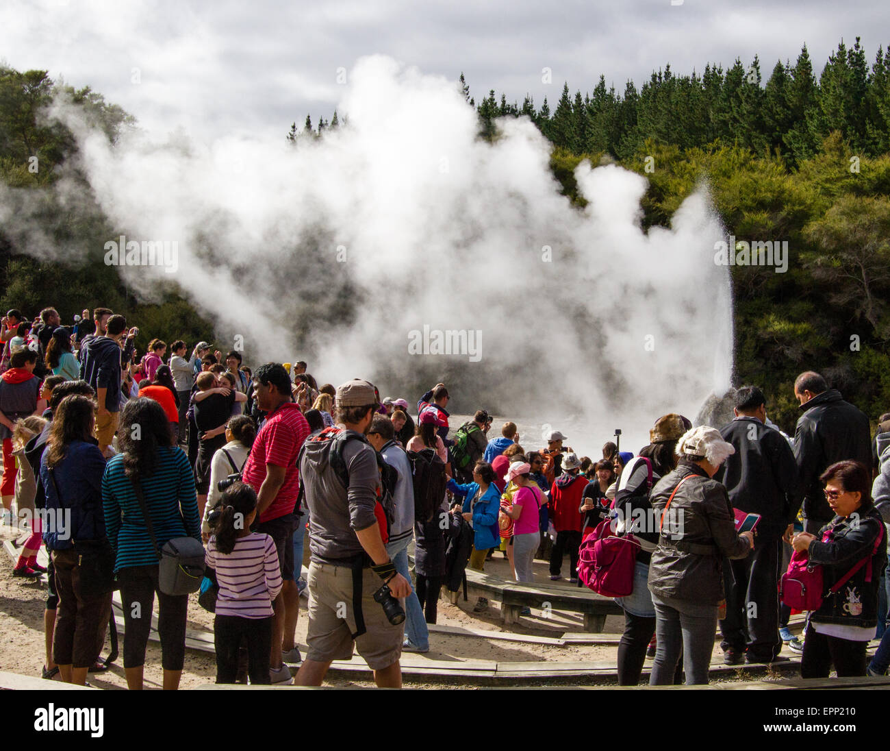 Des foules de touristes à Lady Knox Geyser dans le Wai O Tapu wonderland thermique près de Rotorua en Nouvelle-Zélande, île du Nord Banque D'Images