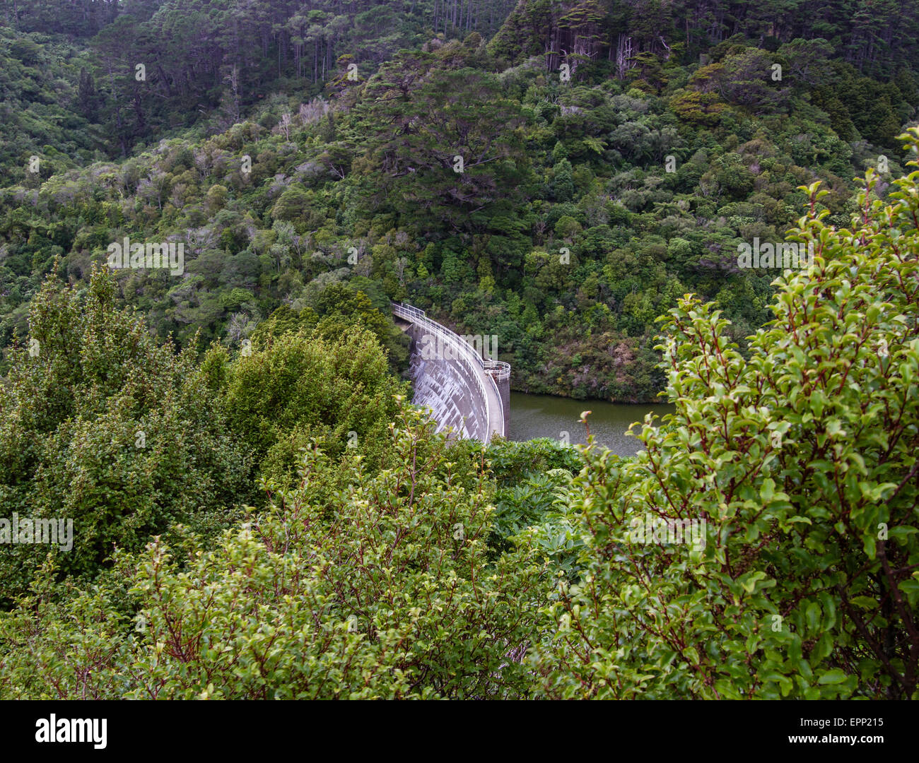 Mur de l'ancien réservoir à Zealandia et la brousse indigène de la Karori Wildlife Sanctuary près de Wellington en Nouvelle-Zélande Banque D'Images
