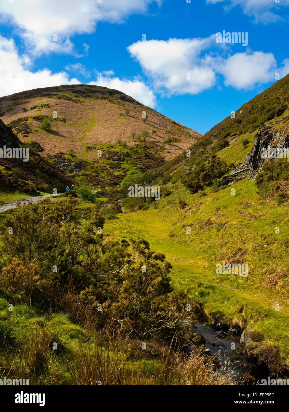 La vallée de moulin à carder sur le long Mynd près de Church Stretton dans le Shropshire Hills England UK Banque D'Images