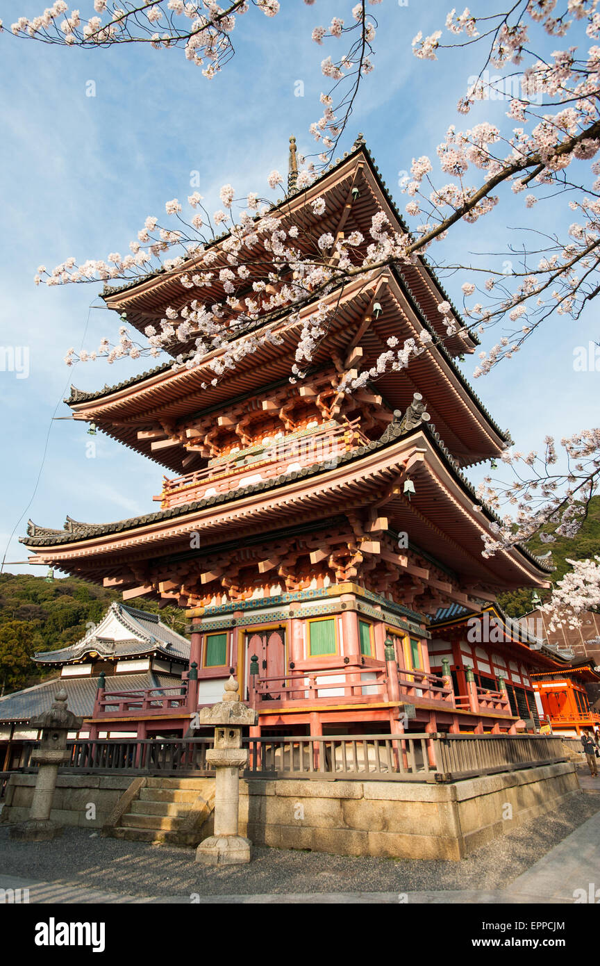 Une des tours à dera Kiyomizu temple de Kyoto au cours d'une journée ensoleillée dans la saison des cerisiers en fleur. Banque D'Images