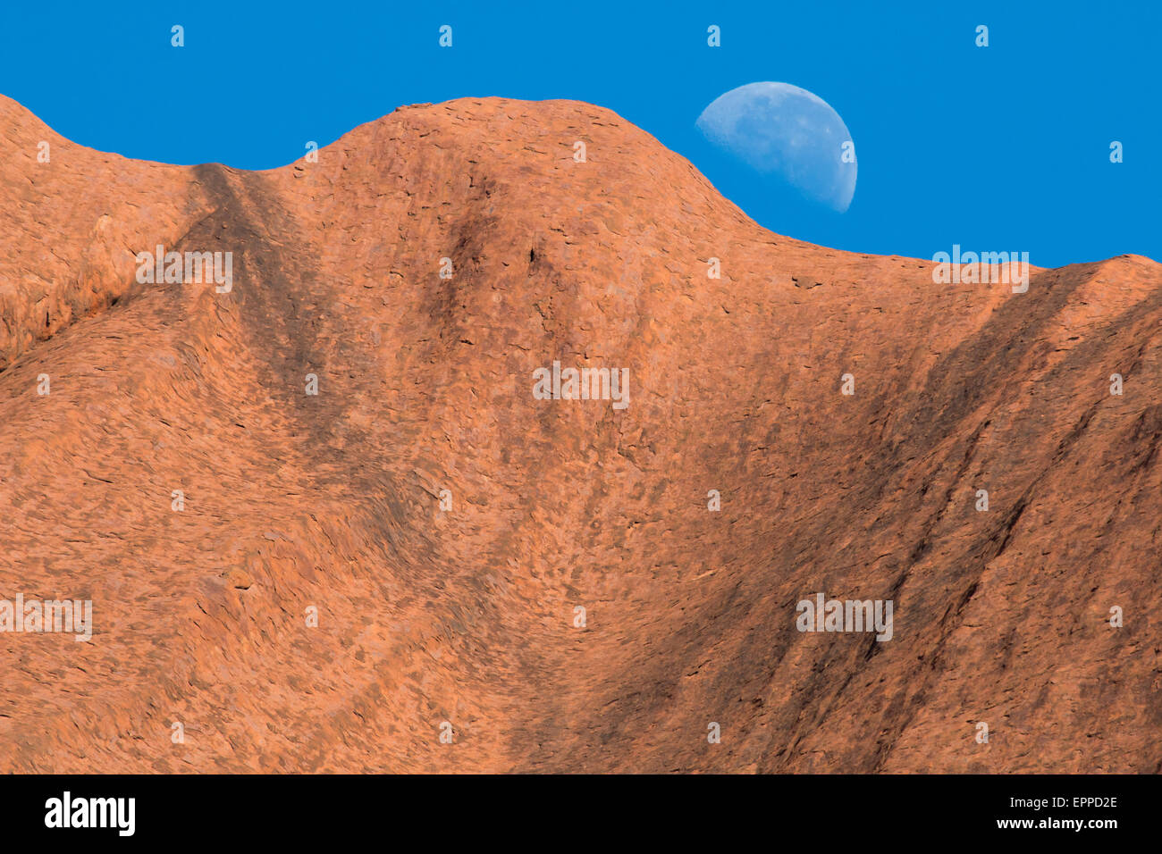 La lune sur Uluru (Ayer's Rock) Banque D'Images