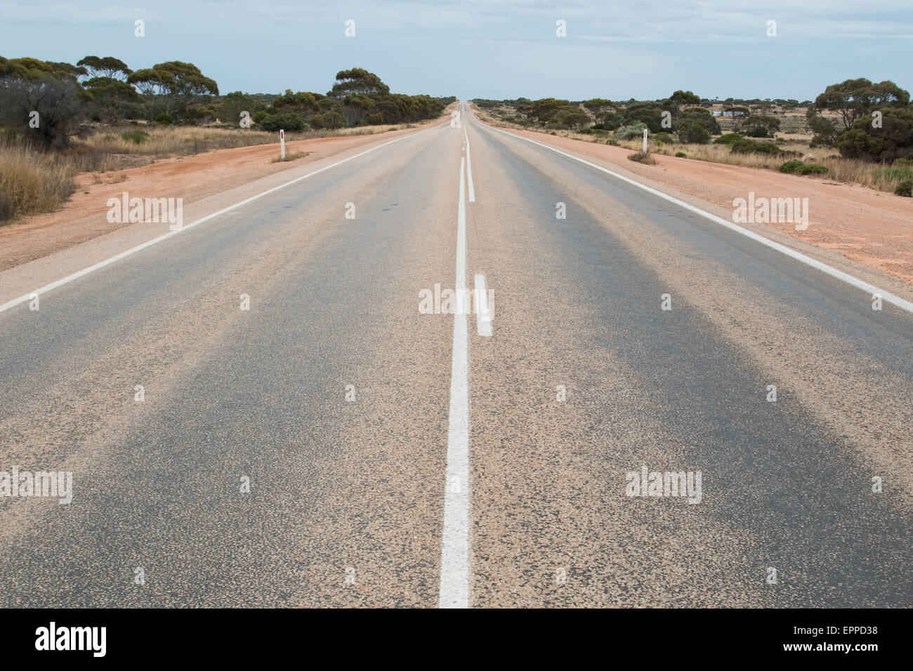Le début de la plus longue route droite en Australie - 150km pour le prochain coin, Nullabor désert, l'ouest de l'Australie Banque D'Images