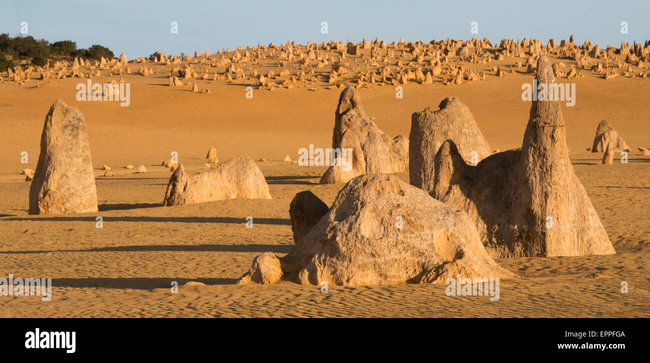 Les Pinnacles, Australie de l'Ouest Banque D'Images