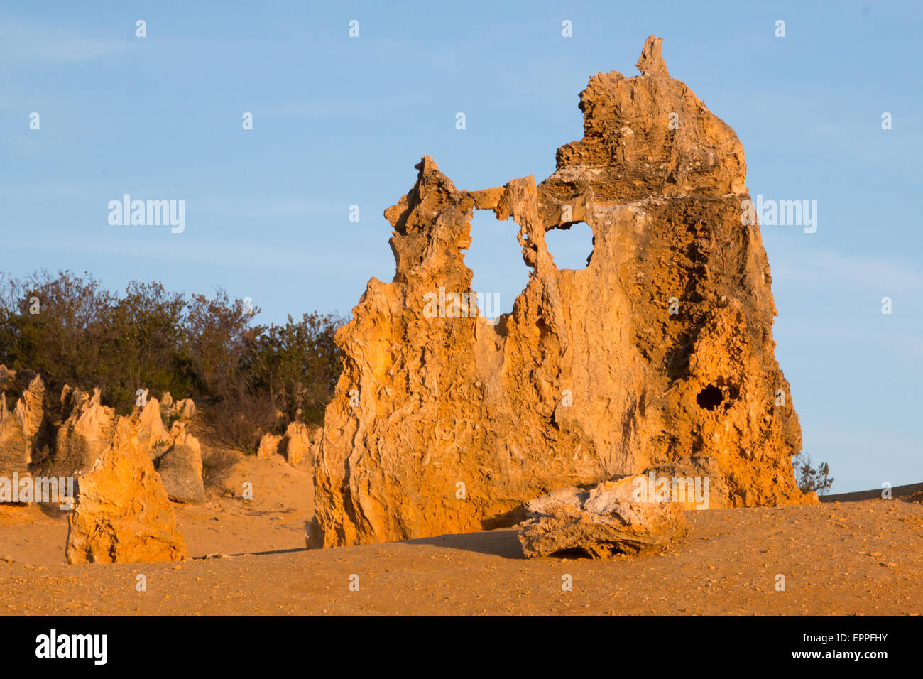Les Pinnacles, Australie de l'Ouest Banque D'Images