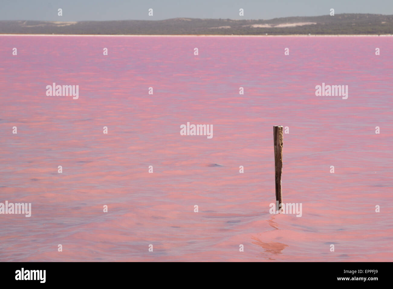 Lac Rose, Port Gregory, l'ouest de l'Australie Banque D'Images Lac Rose, Port Gregory, l'ouest de l'Australie Banque D'Images