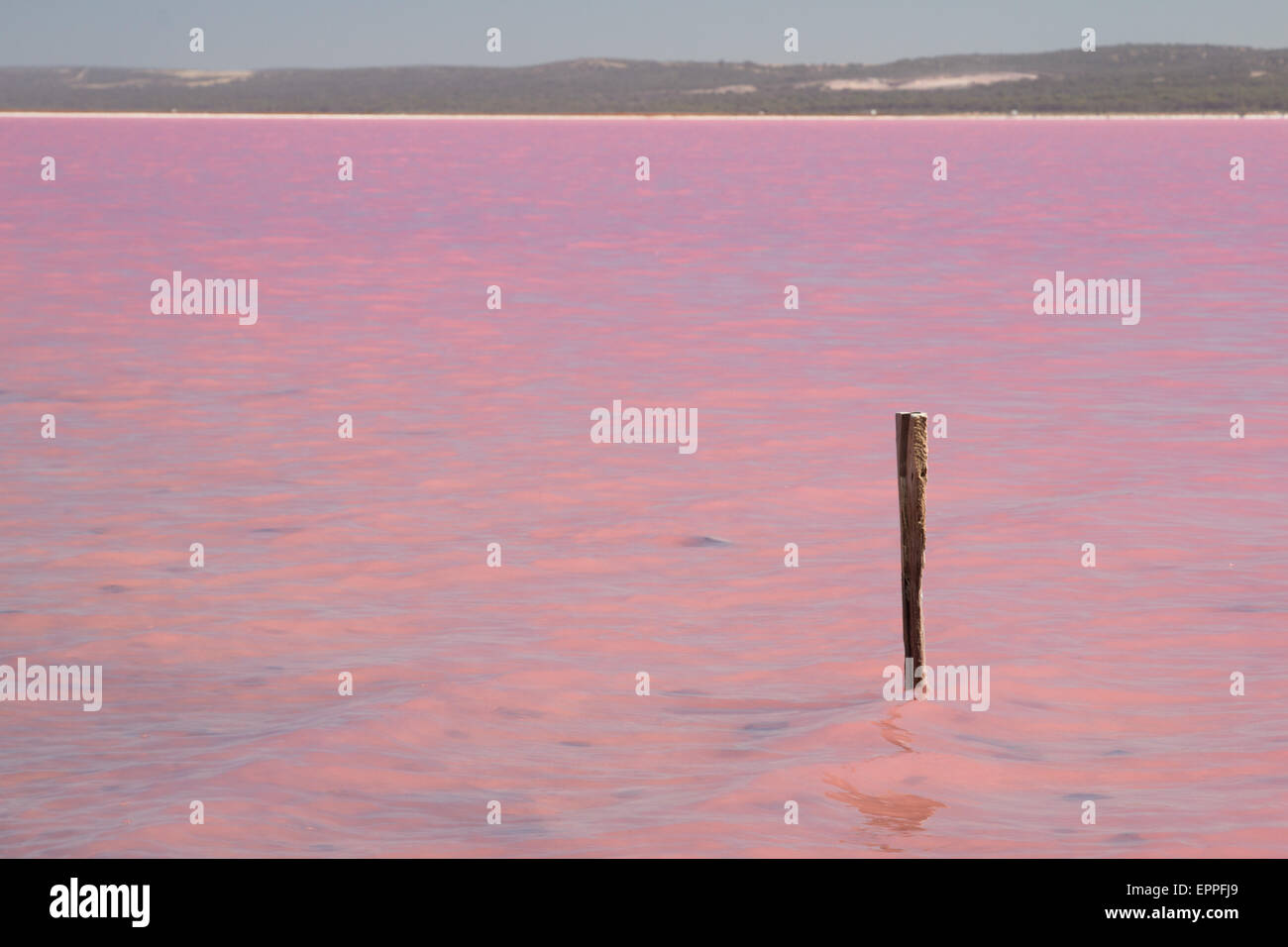 Lac Rose, Port Gregory, l'ouest de l'Australie Banque D'Images