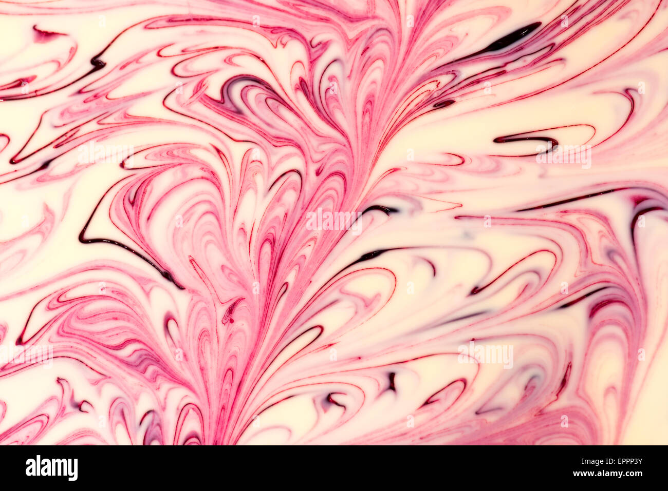 Art Art alimentaire chocolat chocolat blanc avec des fleurs rouge blanc vif beau motif Cuisine créative sucres doux artfull gras Banque D'Images