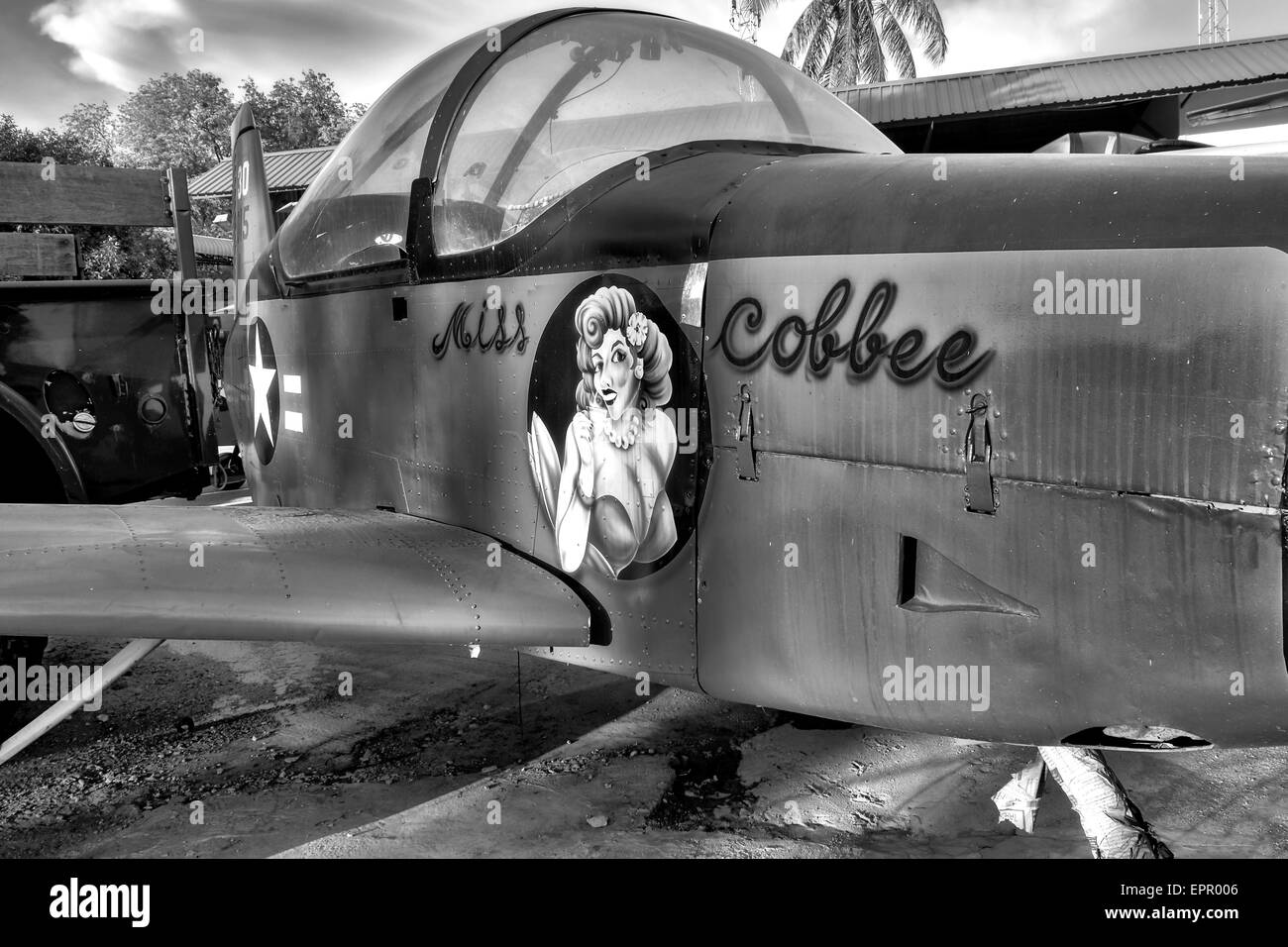 La Seconde Guerre mondiale, 2 avions militaires de l'avion avec l'emblème féminin. La photographie noir et blanc Banque D'Images