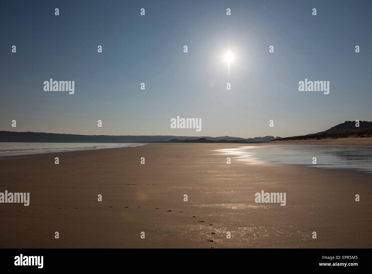 Nicholaston Beach, Oxwich Bay, Gower, au Pays de Galles Banque D'Images