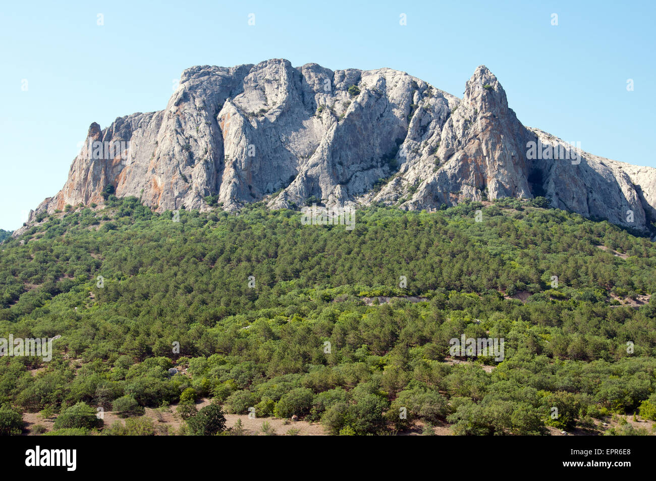 Plus haute montagne et forêt dense à son pied Banque D'Images