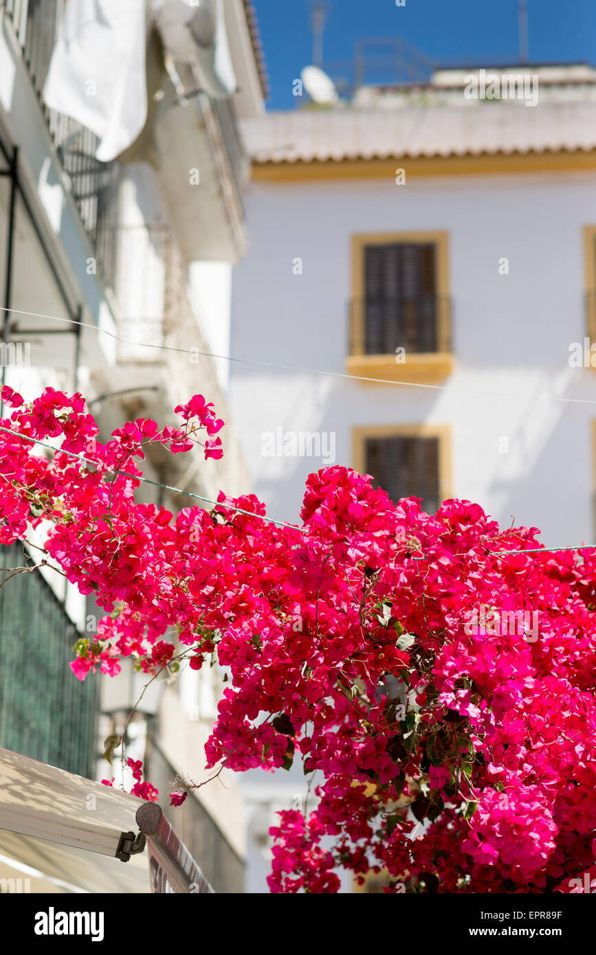 Scenic urbaine de la ville d'Ibiza, Espagne Banque D'Images