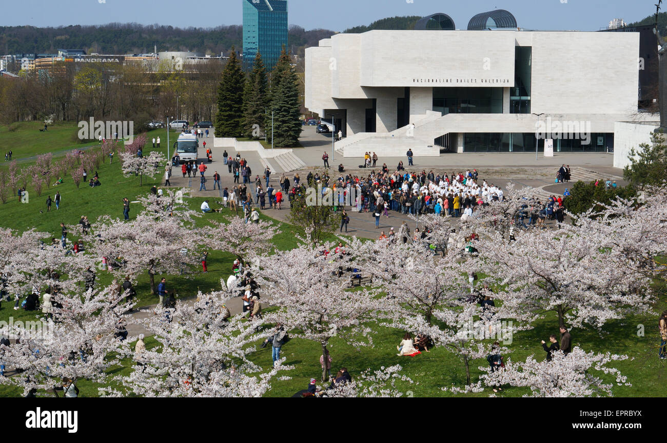 VILNIUS, LITUANIE - 25 avril 2015 : de jeunes athlètes de judo sur une maison de ville. La maison de vacances est consacré à la diplomate japonais o Banque D'Images