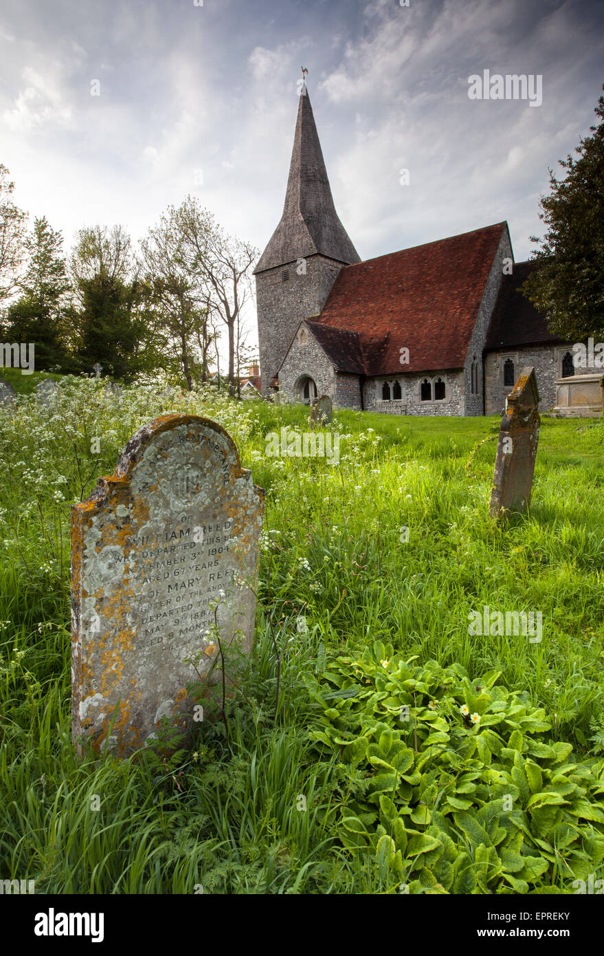 Berwick Church et cimetière près de 1 156 km, West Sussex en début du printemps 1 bâtiment classé Grade Banque D'Images