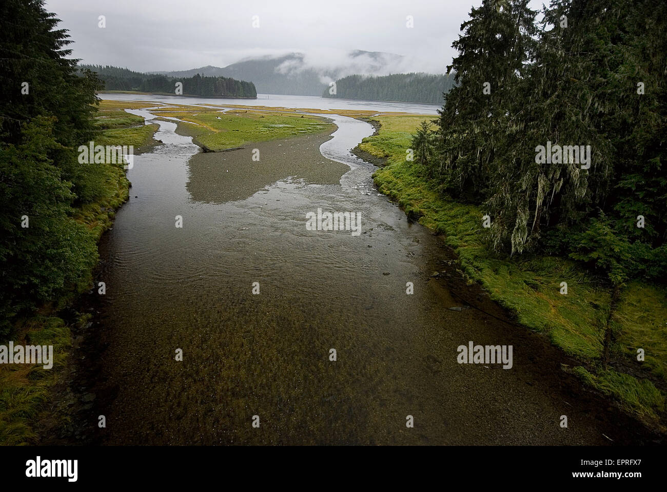 L'estuaire de marée où la mer devient river, Alaska Banque D'Images