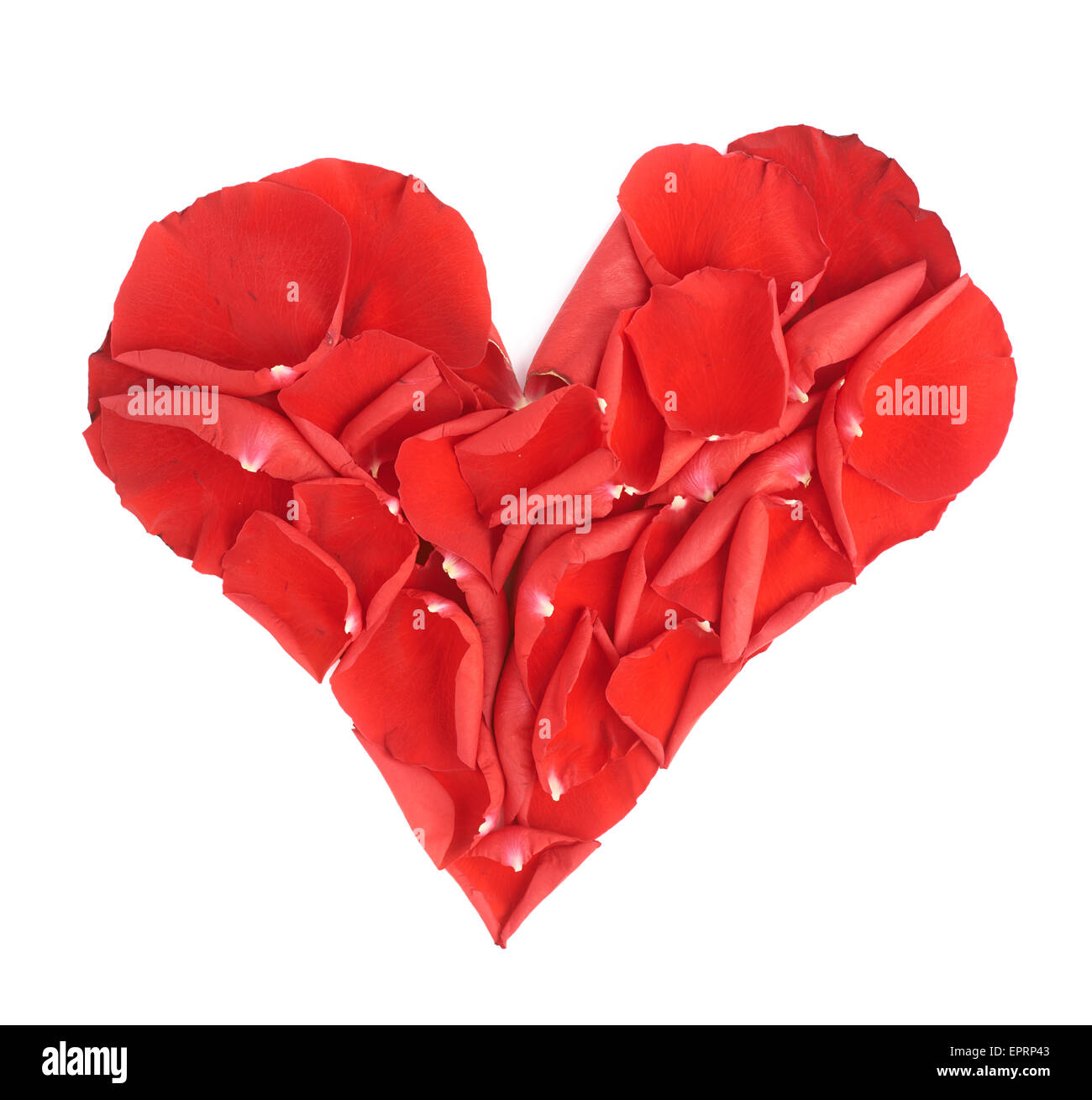 Composition de pétales de rose en forme de coeur Banque D'Images