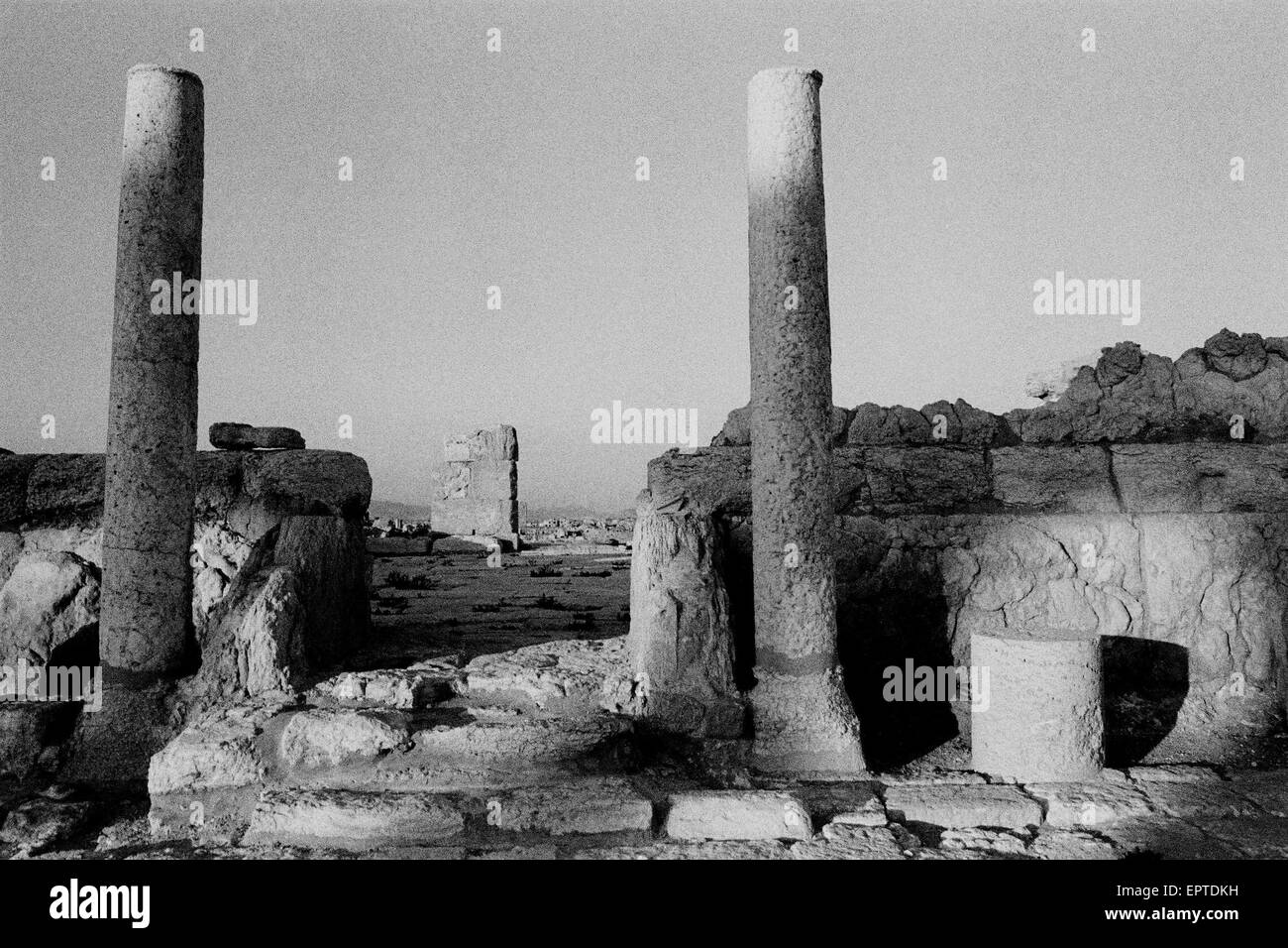 Palmyra, Syrie, Tadmur. 29 Sep, 2009. L'image de fichier - Colonnes en ruines antiques de Palmyre, Tadmor, la Syrie. Dans l'âge de l'antiquité, c'était une ville importante du centre de la Syrie. État islamique (EST) en Syrie des militants ont saisi la ville antique de Palmyre et sont entrés dans le site contenant des vestiges précieux. Images utilisées sur Septembre 2003. Note : l'image numérisé et traité à partir d'un original en noir et blanc. © Jordi Boixareu/ZUMA/Alamy Fil Live News Banque D'Images