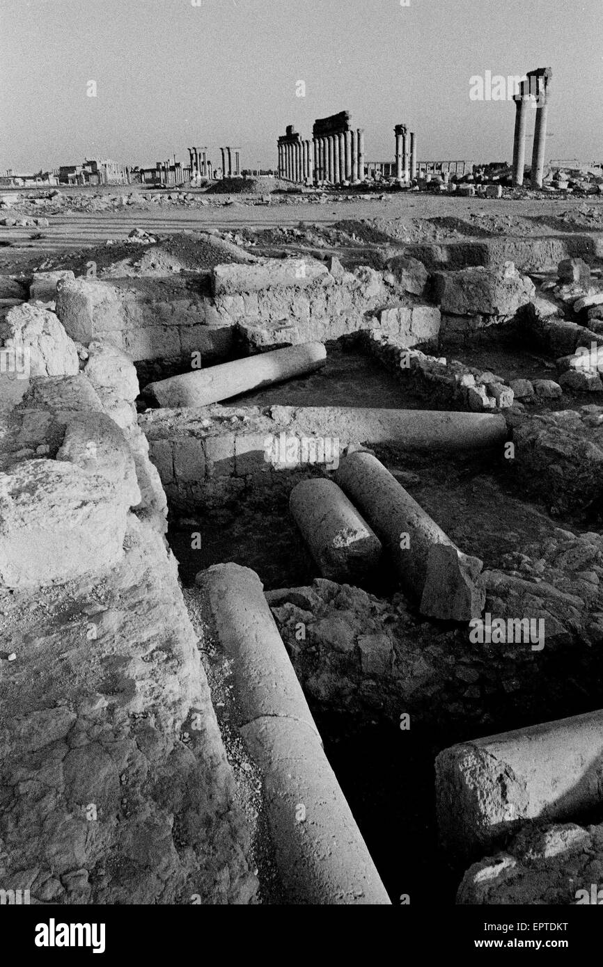 Palmyra, Syrie, Tadmur. 29 Sep, 2009. L'image de fichier - Colonnes en ruines antiques de Palmyre, Tadmor, la Syrie. Dans l'âge de l'antiquité, c'était une ville importante du centre de la Syrie. État islamique (EST) en Syrie des militants ont saisi la ville antique de Palmyre et sont entrés dans le site contenant des vestiges précieux. Images utilisées sur Septembre 2003. Note : l'image numérisé et traité à partir d'un original en noir et blanc. © Jordi Boixareu/ZUMA/Alamy Fil Live News Banque D'Images