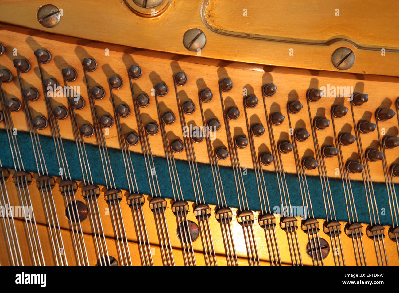 Les cordes, les broches de réglage et d'harmonie à l'intérieur d'un piano droit Bechstein Banque D'Images